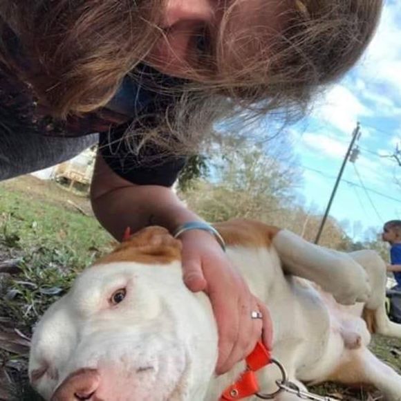 Meet your Posher, Steven - Picture 1 of 1